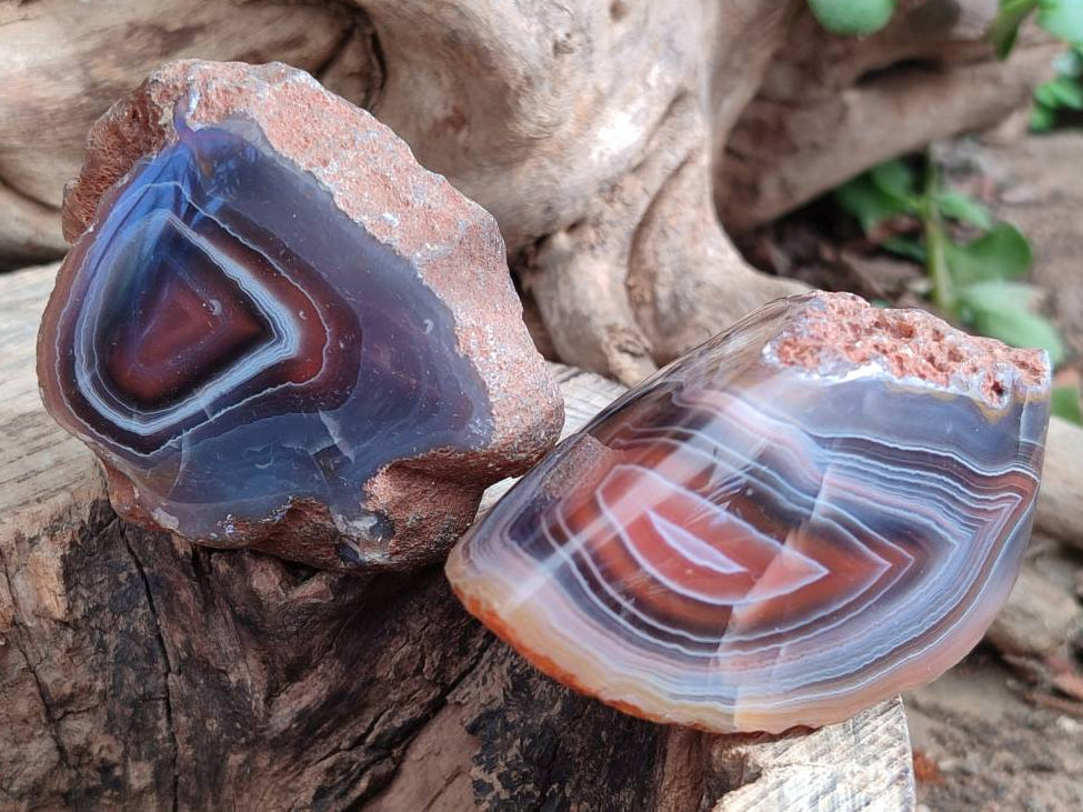Polished On One Side Red Sashe River Agate Nodules x 24 From Zimbabwe - Toprock Gemstones and Minerals 