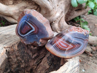 Polished On One Side Red Sashe River Agate Nodules x 24 From Zimbabwe