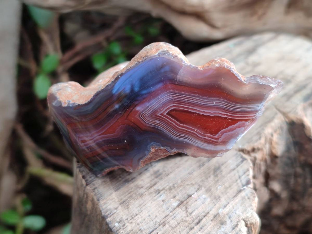 Polished On One Side Red Sashe River Agate Nodules x 24 From Zimbabwe - Toprock Gemstones and Minerals 