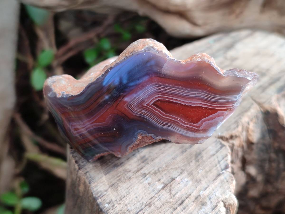 Polished On One Side Red Sashe River Agate Nodules x 24 From Zimbabwe - Toprock Gemstones and Minerals 