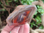 Polished On One Side Red Sashe River Agate Nodules x 24 From Zimbabwe - Toprock Gemstones and Minerals 
