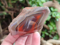 Polished On One Side Red Sashe River Agate Nodules x 24 From Zimbabwe