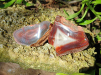 Polished On One Side Red Sashe River Agate Nodules x 24 From Zimbabwe