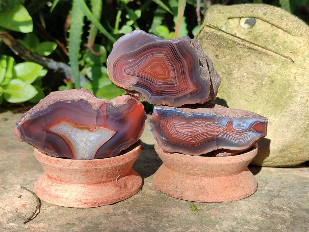 Polished On One Side Red Sashe River Agate Nodules x 24 From Zimbabwe - Toprock Gemstones and Minerals 