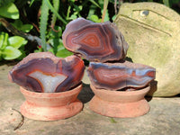 Polished On One Side Red Sashe River Agate Nodules x 24 From Zimbabwe