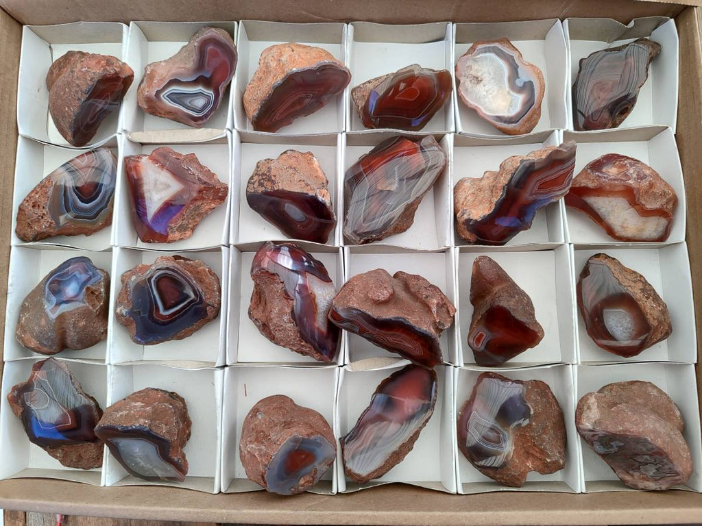 Polished On One Side Red Sashe River Agate Nodules x 24 From Zimbabwe - Toprock Gemstones and Minerals 