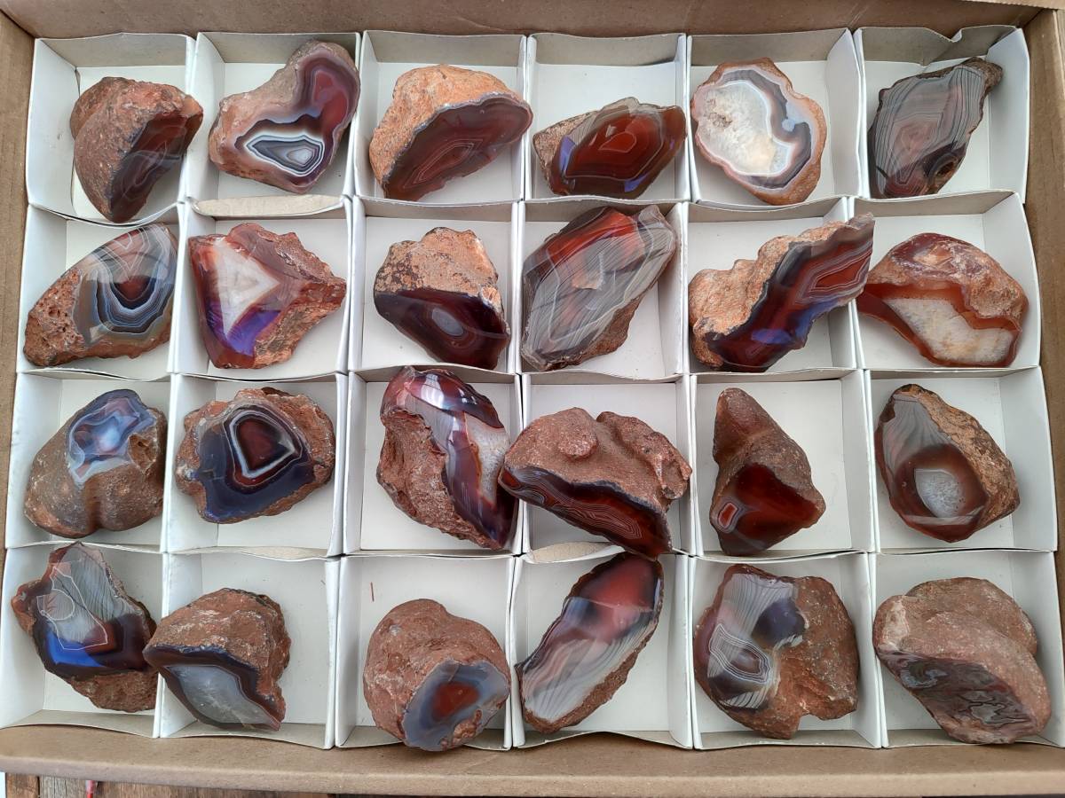 Polished On One Side Red Sashe River Agate Nodules x 24 From Zimbabwe - Toprock Gemstones and Minerals 