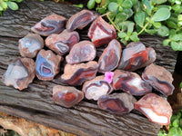 Polished On One Side Red Sashe River Agate Nodules x 24 From Zimbabwe