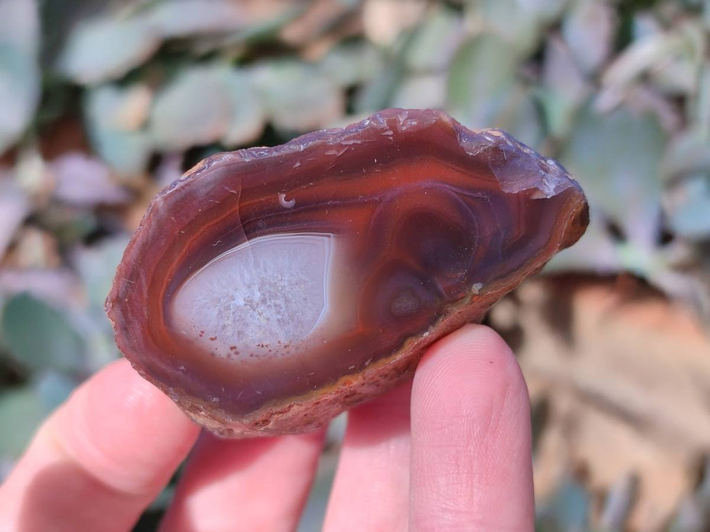 Polished On One Side Red Sashe River Agate Nodules x 24 From Zimbabwe - Toprock Gemstones and Minerals 