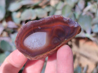 Polished On One Side Red Sashe River Agate Nodules x 24 From Zimbabwe
