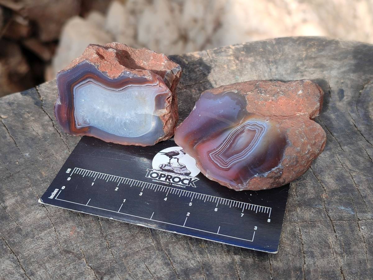 Polished On One Side Red Sashe River Agate Nodules x 24 From Zimbabwe - Toprock Gemstones and Minerals 