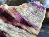Polished Watermelon Fluorite Slices x 2 From Uis, Namibia - Toprock Gemstones and Minerals 