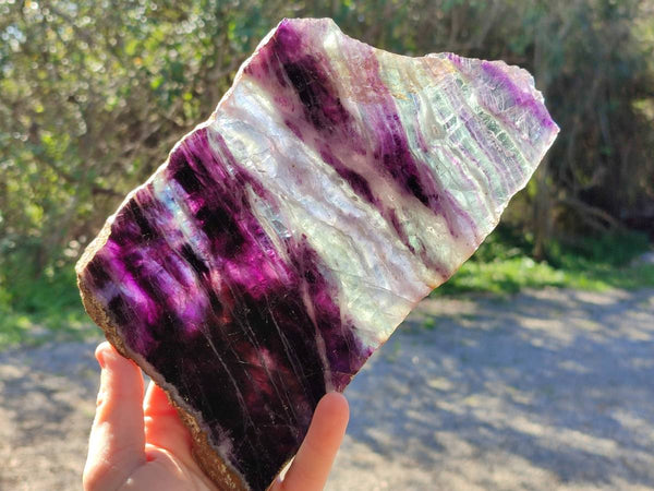 Polished Watermelon Fluorite Slices x 2 From Uis, Namibia