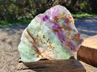 Polished Watermelon Fluorite Slices x 2 From Uis, Namibia - Toprock Gemstones and Minerals 