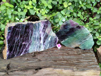 Polished Watermelon Fluorite Slices x 2 From Uis, Namibia - Toprock Gemstones and Minerals 