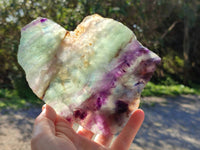 Polished Watermelon Fluorite Slices x 2 From Uis, Namibia - Toprock Gemstones and Minerals 