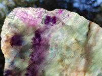 Polished Watermelon Fluorite Slices x 2 From Uis, Namibia - Toprock Gemstones and Minerals 