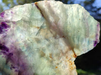 Polished Watermelon Fluorite Slices x 2 From Uis, Namibia - Toprock Gemstones and Minerals 