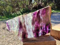 Polished Watermelon Fluorite Slices x 2 From Uis, Namibia - Toprock Gemstones and Minerals 