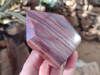 Polished Banded Tiger Iron Points x 2 From Northern Cape, South Africa - Toprock Gemstones and Minerals 