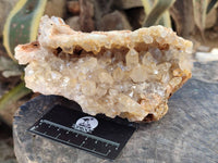 Natural Golden Limonite Quartz Clusters x 2 From Solwezi, Zambia