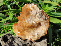 Natural Golden Limonite Quartz Clusters x 2 From Solwezi, Zambia