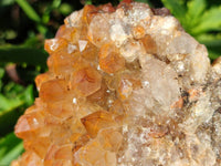 Natural Golden Limonite Quartz Clusters x 2 From Solwezi, Zambia