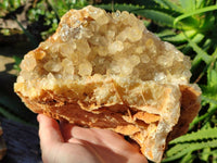 Natural Golden Limonite Quartz Clusters x 2 From Solwezi, Zambia