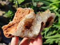 Natural Golden Limonite Quartz Clusters x 2 From Solwezi, Zambia