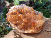Natural Golden Limonite Quartz Clusters x 2 From Solwezi, Zambia