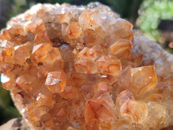 Natural Golden Limonite Quartz Clusters x 2 From Solwezi, Zambia