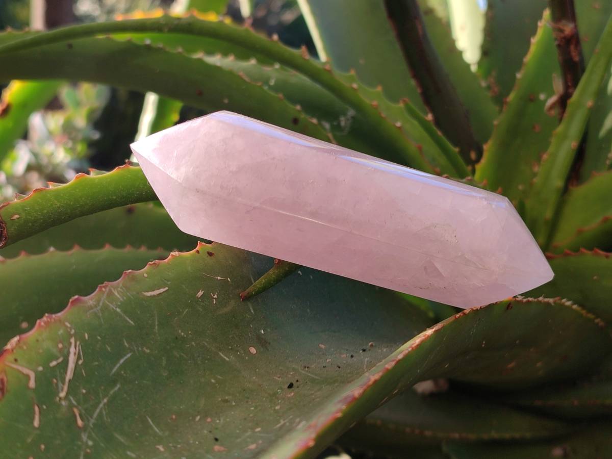Polished Double Terminated Rose Quartz Points x 6 Ambatondrazaka, Madagascar - Toprock Gemstones and Minerals 