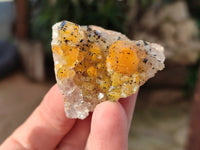 Natural Golden Limonite Quartz Clusters x 35 From Solwezi, Zambia - Toprock Gemstones and Minerals 