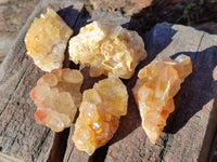 Natural Golden Limonite Quartz Clusters x 35 From Solwezi, Zambia - Toprock Gemstones and Minerals 