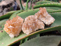Natural Golden Limonite Quartz Clusters x 35 From Solwezi, Zambia - Toprock Gemstones and Minerals 