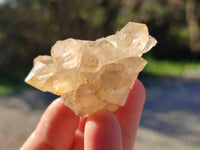 Natural Golden Limonite Quartz Clusters x 35 From Solwezi, Zambia - Toprock Gemstones and Minerals 