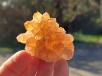 Natural Golden Limonite Quartz Clusters x 35 From Solwezi, Zambia - Toprock Gemstones and Minerals 