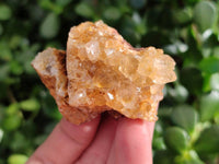 Natural Golden Limonite Quartz Clusters x 35 From Solwezi, Zambia - Toprock Gemstones and Minerals 