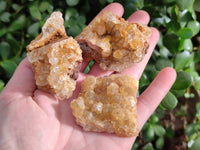 Natural Golden Limonite Quartz Clusters x 35 From Solwezi, Zambia - Toprock Gemstones and Minerals 
