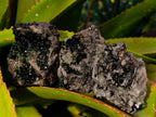 Natural Libethenite Crystals On Dolomite Matrix Specimens x 6 From Shituru, Congo - Toprock Gemstones and Minerals 