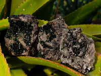 Natural Libethenite Crystals On Dolomite Matrix Specimens x 6 From Shituru, Congo
