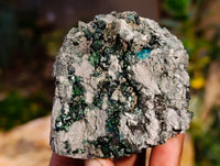 Natural Libethenite Crystals On Dolomite Matrix Specimens x 6 From Shituru, Congo