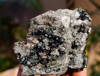 Natural Libethenite Crystals On Dolomite Matrix Specimens x 6 From Shituru, Congo