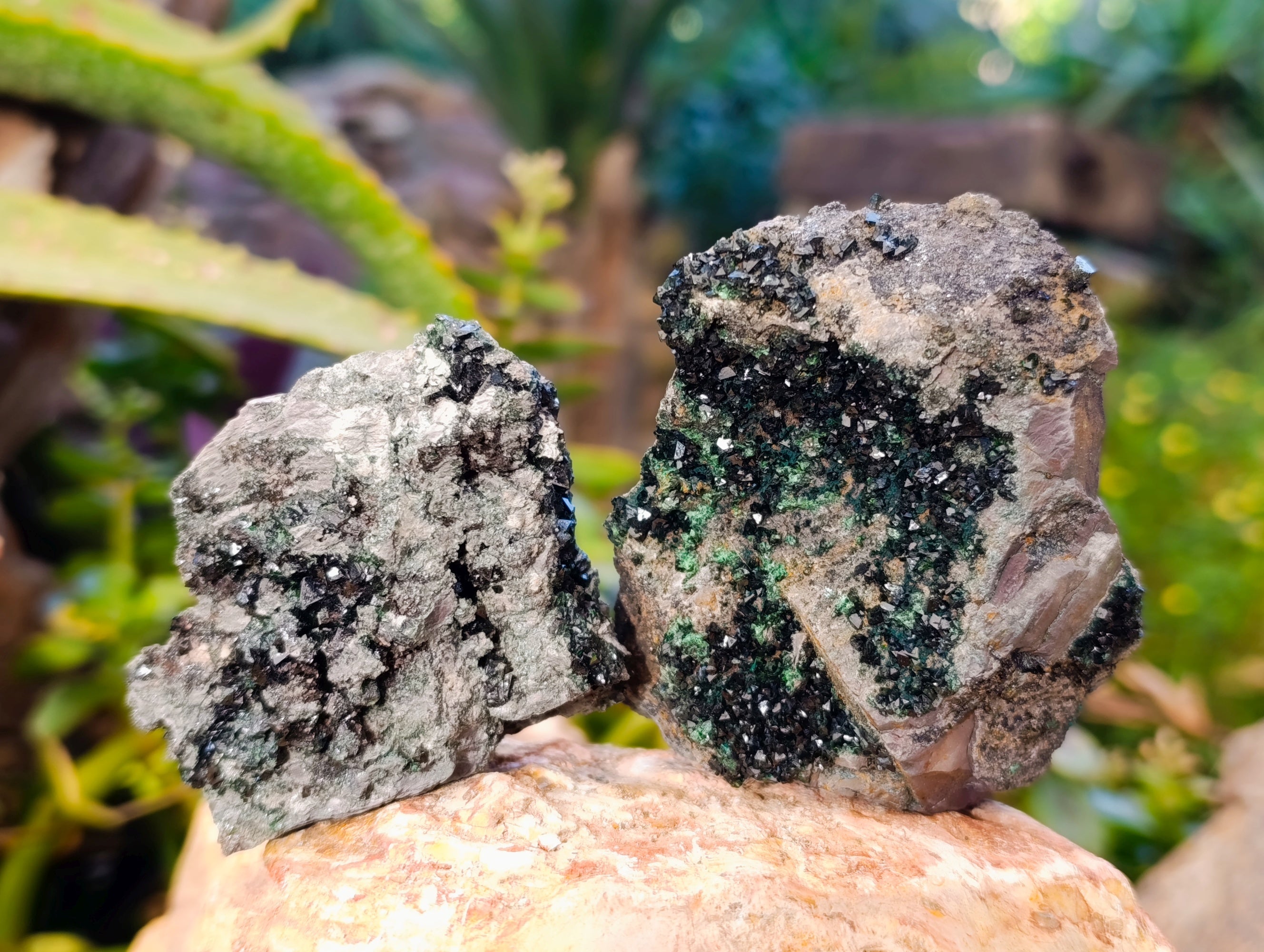 Natural Libethenite Crystals On Dolomite Matrix Specimens x 6 From Shituru, Congo - Toprock Gemstones and Minerals 
