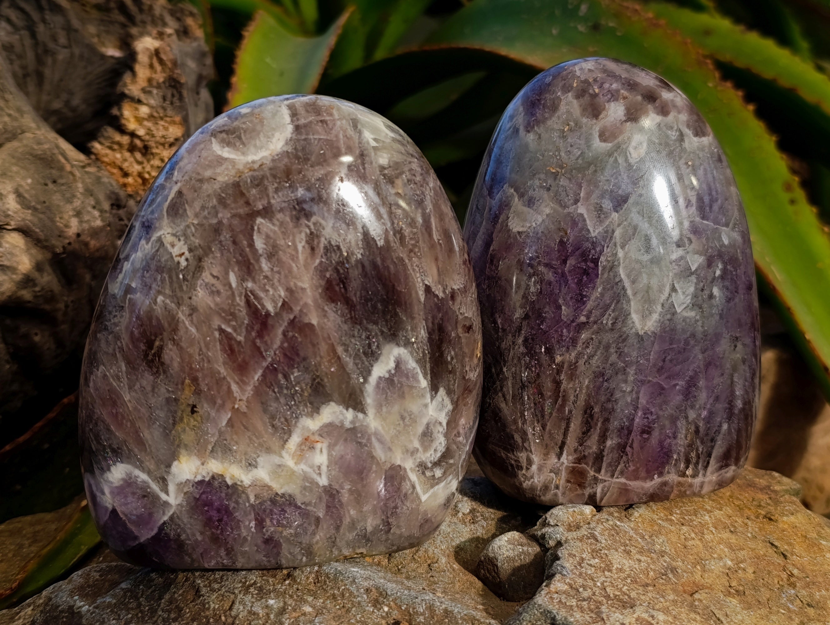 Polished Chevron Amethyst Standing Free Form x 2 From Ankazobe, Madagascar - Toprock Gemstones and Minerals 