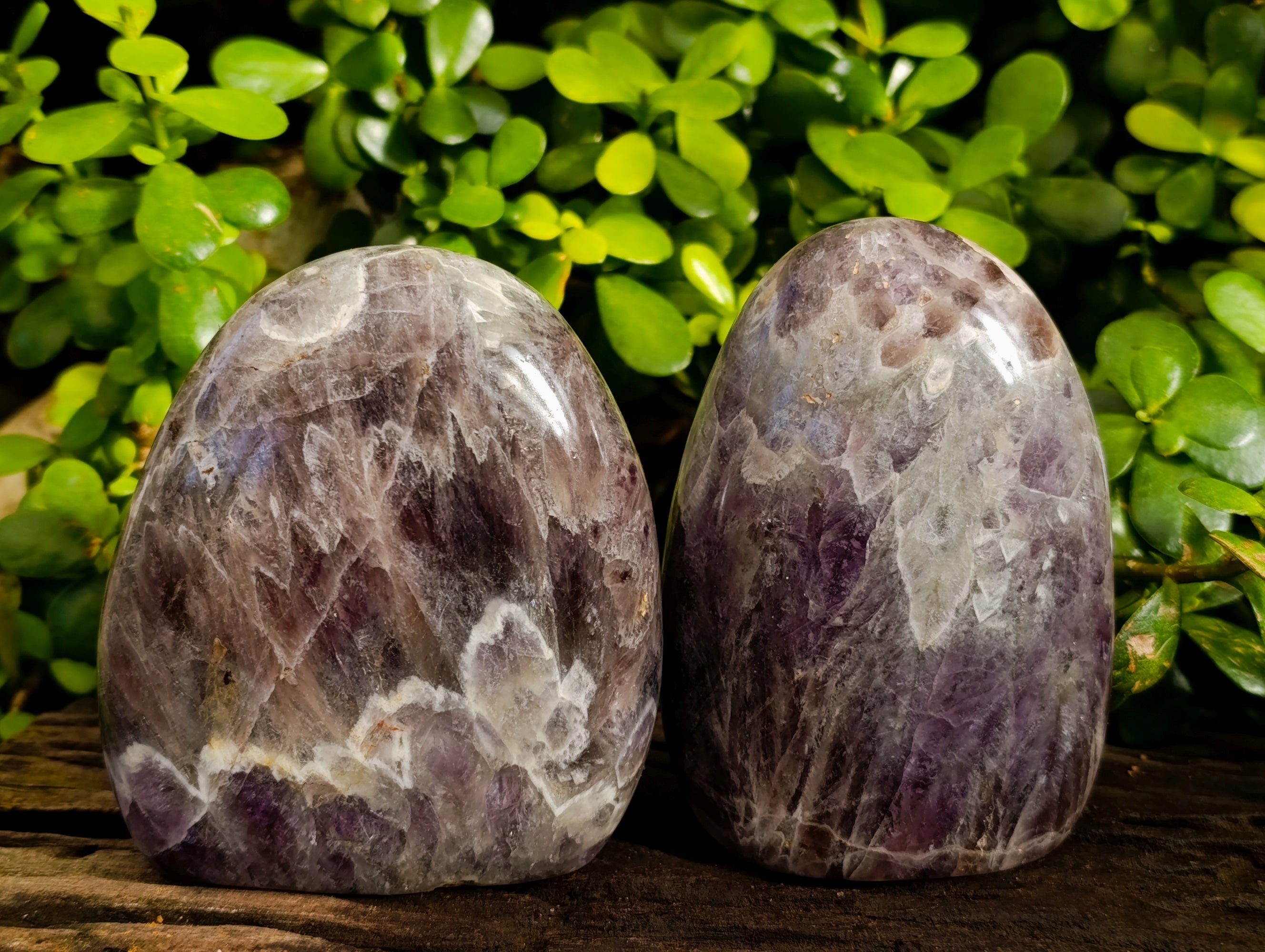 Polished Chevron Amethyst Standing Free Form x 2 From Ankazobe, Madagascar - Toprock Gemstones and Minerals 