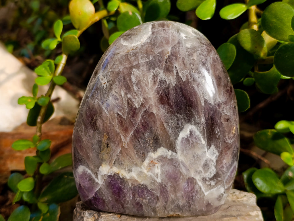 Polished Chevron Amethyst Standing Free Form x 2 From Ankazobe, Madagascar - Toprock Gemstones and Minerals 