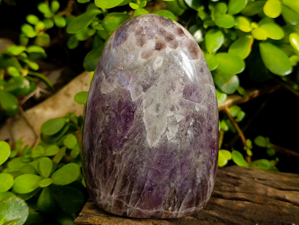 Polished Chevron Amethyst Standing Free Form x 2 From Ankazobe, Madagascar - Toprock Gemstones and Minerals 
