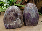 Polished Chevron Amethyst Standing Free Form x 2 From Ankazobe, Madagascar - Toprock Gemstones and Minerals 