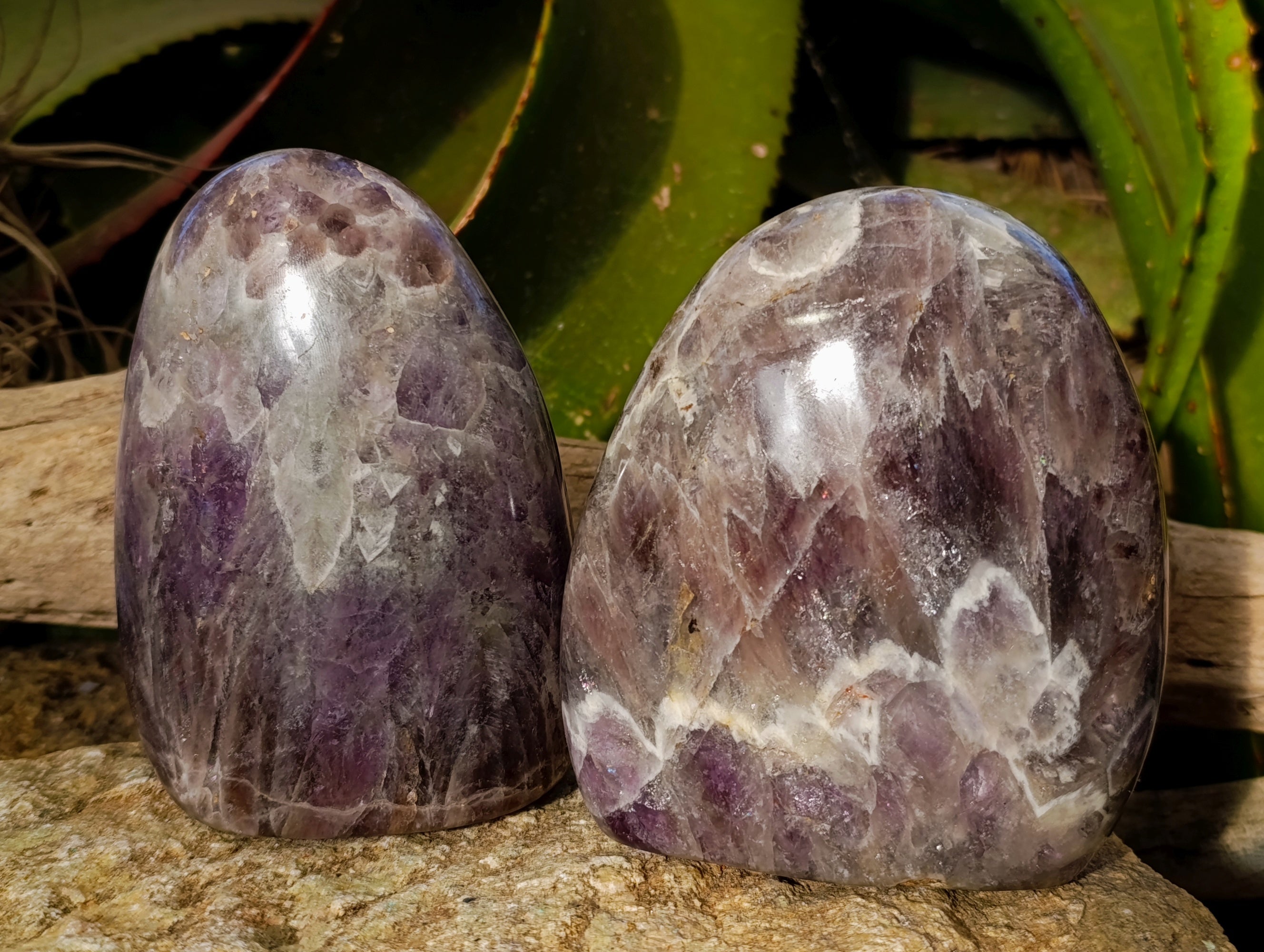 Polished Chevron Amethyst Standing Free Form x 2 From Ankazobe, Madagascar - Toprock Gemstones and Minerals 